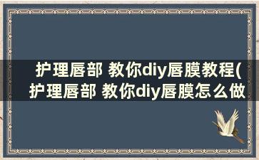 护理唇部 教你diy唇膜教程(护理唇部 教你diy唇膜怎么做)